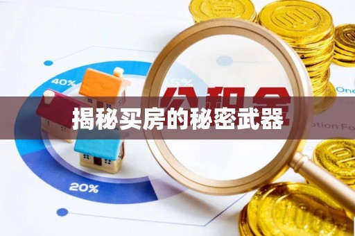 邯山揭秘买房的秘密武器