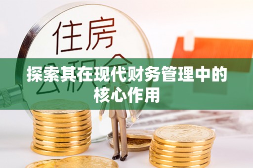 邯山探索其在现代财务管理中的核心作用